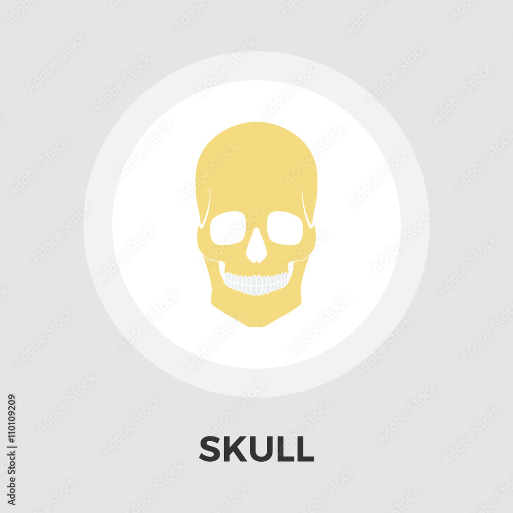 Anotomy skull flat icon Anotomy skull flat icon