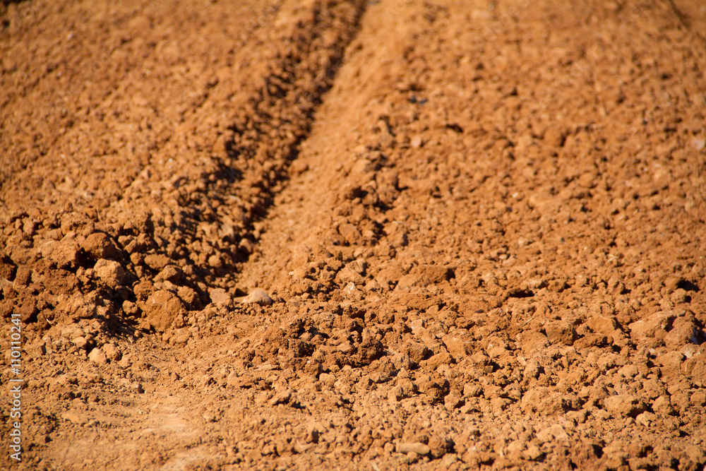 brown agriculture field in spring brown agriculture field in spring