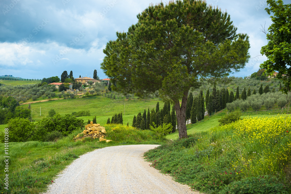 Beautifully shaped roads and fields in the landscape.