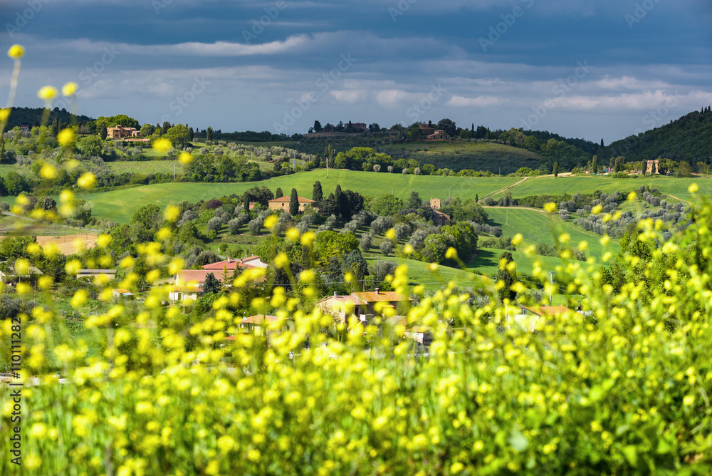 Obraz premium Tuscan spring magical landscape.