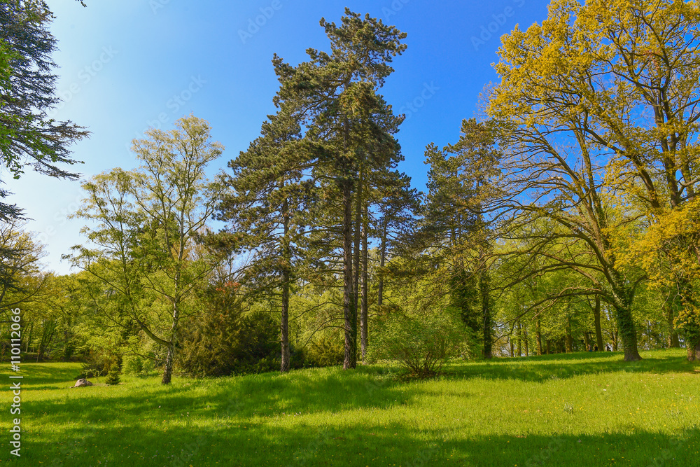 Parklandschaft im Frühling - Land Brandenburg