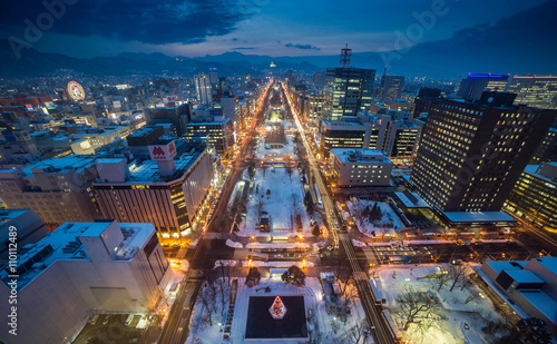 Cityscape of Sapporo at odori Park, Hokkaido, Japan 