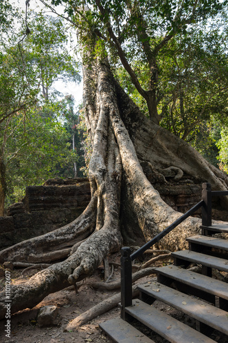 Ta Prohm temple