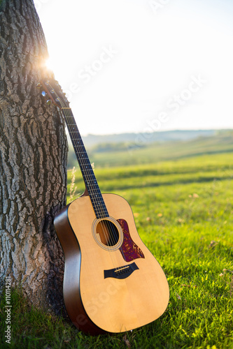 classical guitar propped against a tree trunk