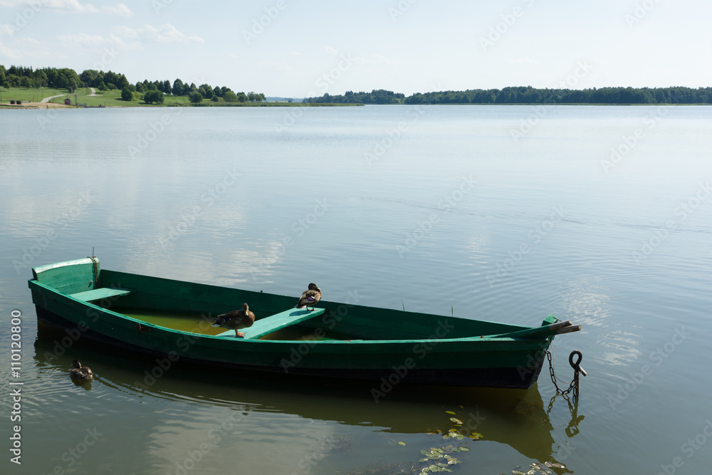 the boat with ducks