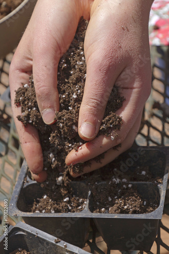 Hands of Young Woman Fill Seed Pots With Soil