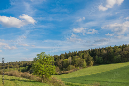 Landschaft im Fr  hling