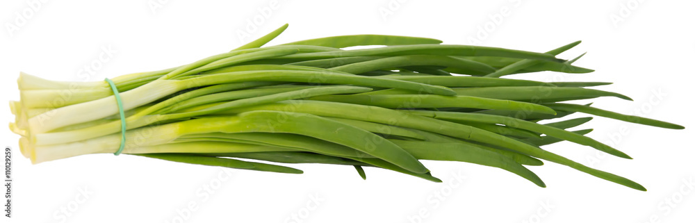 Spring onions - isolated. Spring onions - isolated.