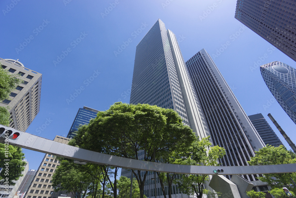 新宿高層ビル街　快晴　青空　新緑　緑　春　超広角で見上げる　新宿警察署前