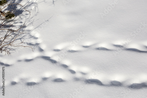 Beautiful abstract winter pattern  footprints on white snow outdoor