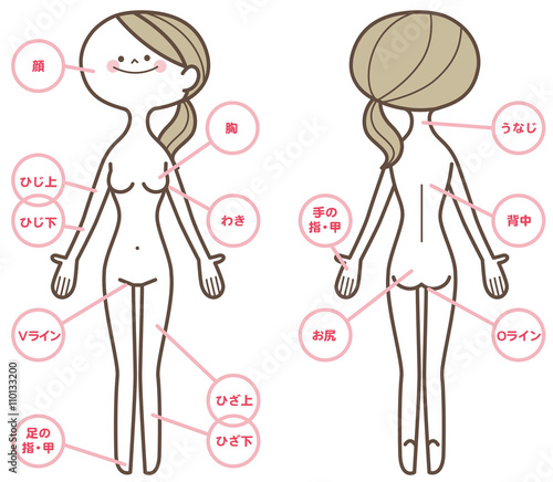 女性　全身　美容