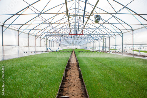 Greenhouse watering system in action