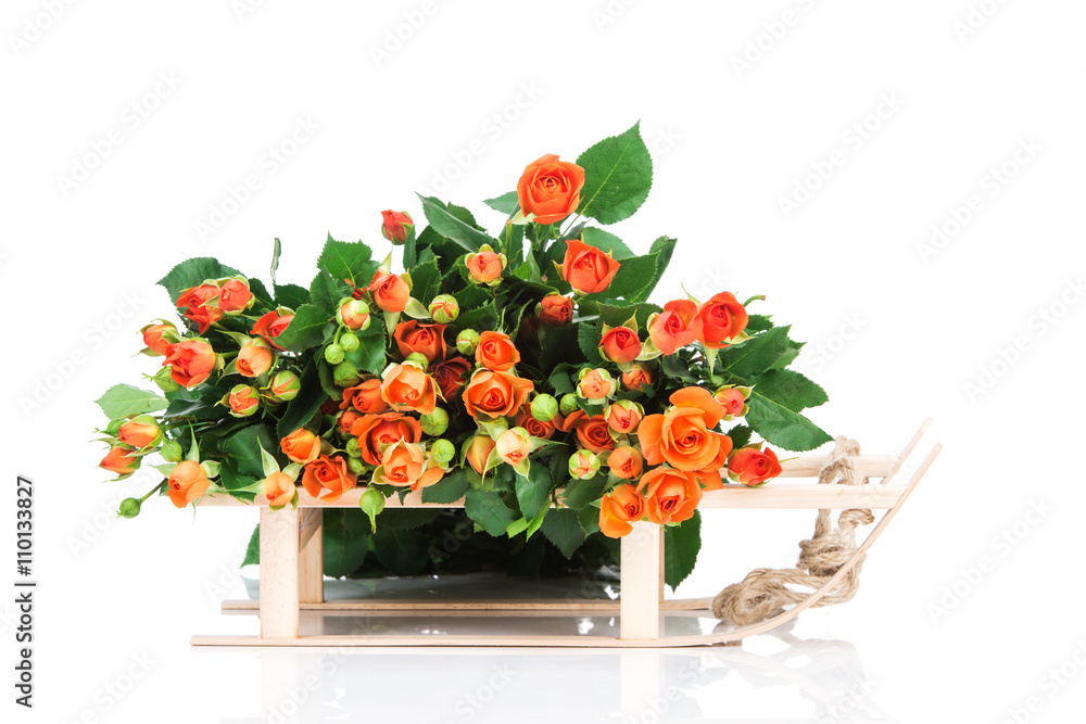 Obraz premium Roses isolated on white background