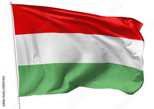 Flag of Hungary on flagpole