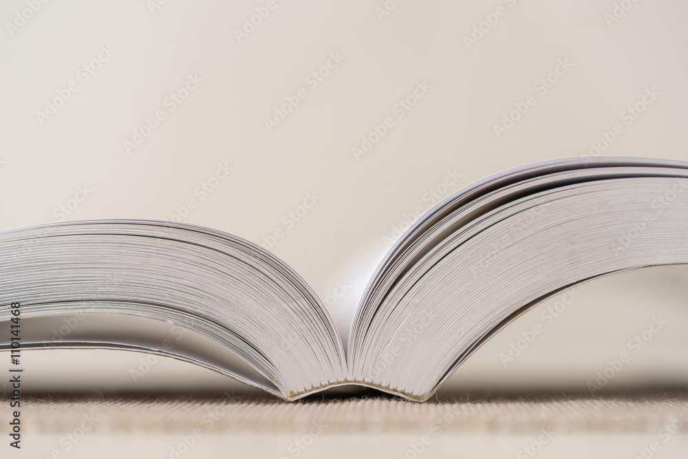Obraz premium Macro shot of open book. Shallow depth of field. Horizontal.
