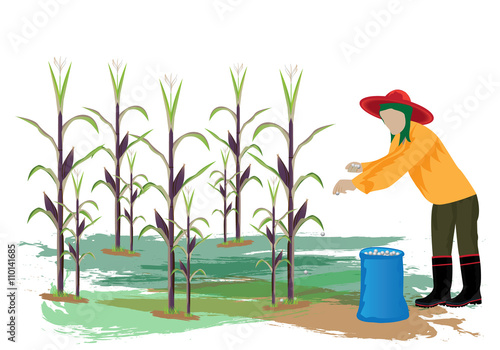 agriculturist manure corn plant vector design
