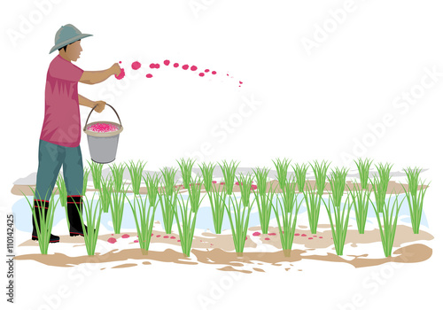 agriculturist manure rice vector design