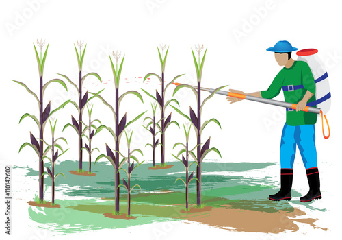 agriculturist sprays corn plant vector design