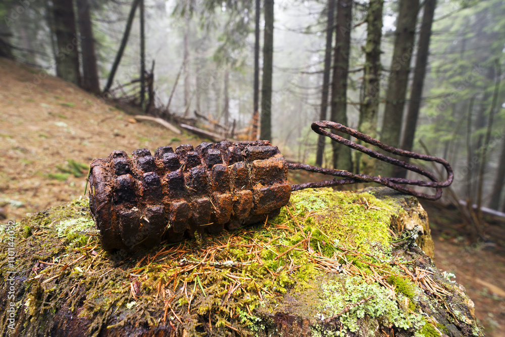 Grenade from the First World War