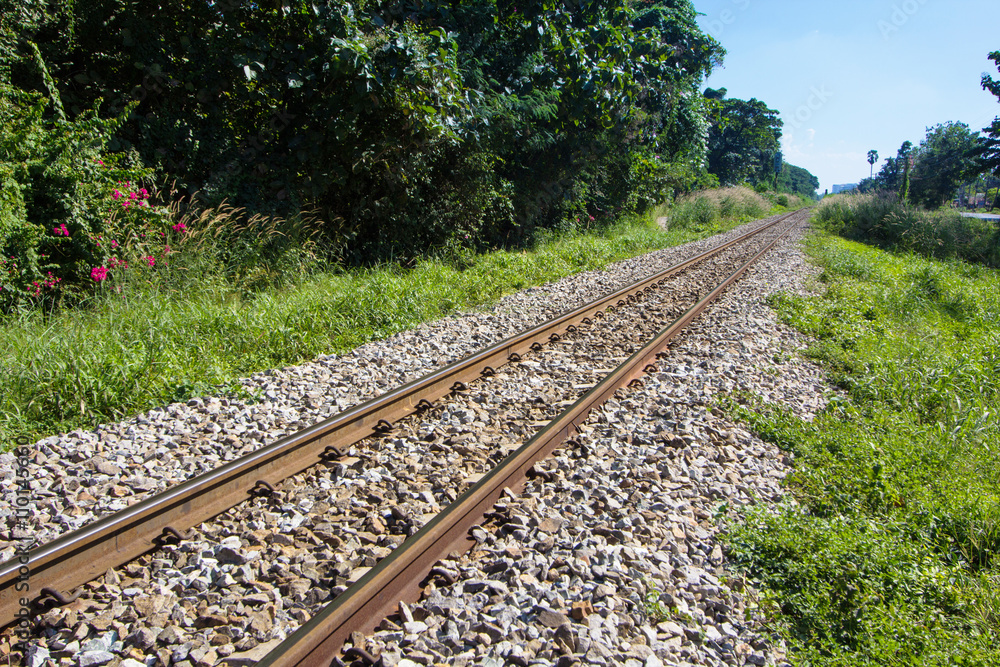 Railway diagonal line nature tree beside Railway diagonal line nature tree beside