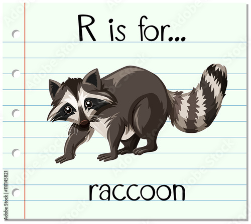 Flashcard letter R is for raccoon