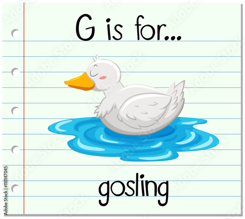 Flashcard letter G is for gosling