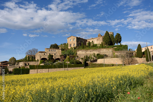 Bild auf Leinwand Castle of  Foixa, Baix Emporda, Girona province, Catalonia, Spain