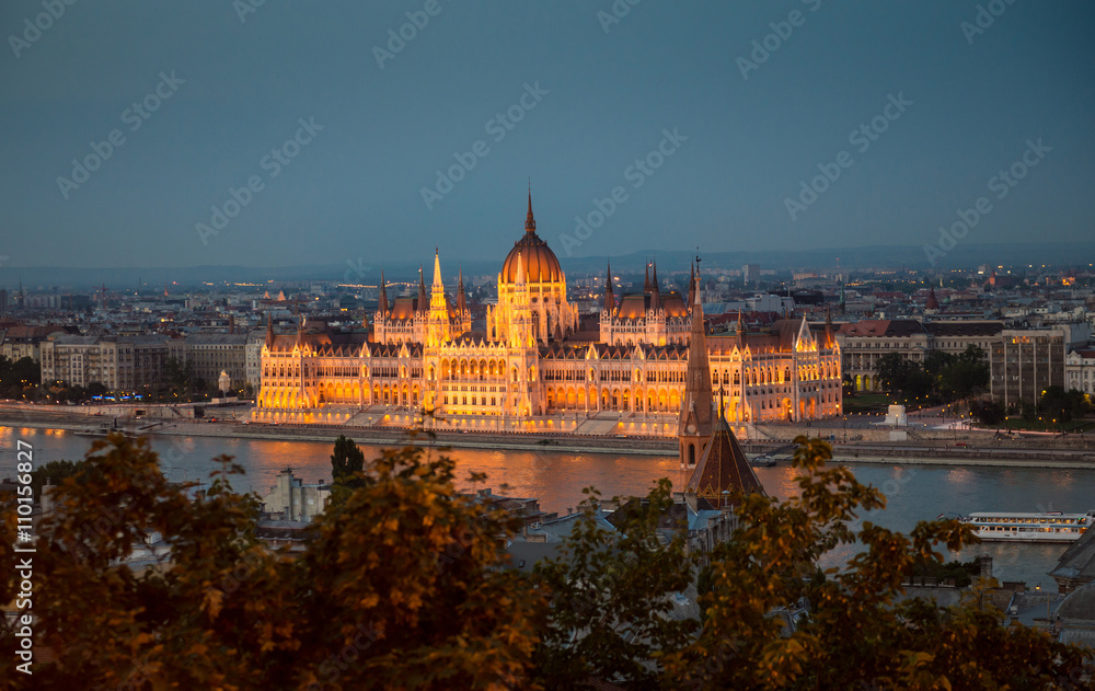 Fototapeta premium illuminated building of the National Hungarian Parliament at night