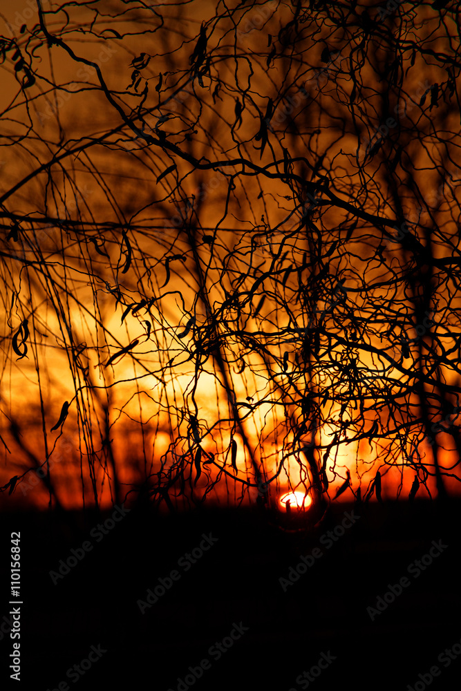 Sunset background Sunset background