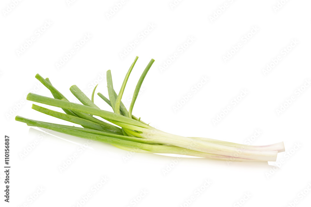 Green onion isolated on the white background Green onion isolated on the white background