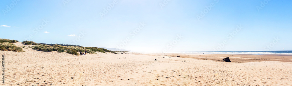 panoramic view of a huge beach of the west coast of america with some people walking at the edge of the sea during a sunny day of summer