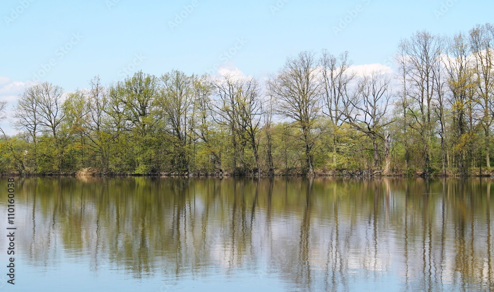 trees on the bank of a pond in Poodri reflecting on the water surface in spring