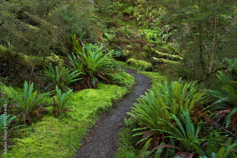 Along the Kepler track