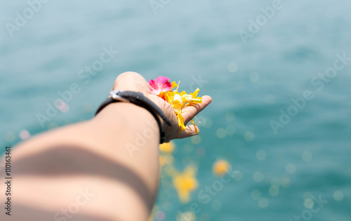 Human hands holding colorful flower