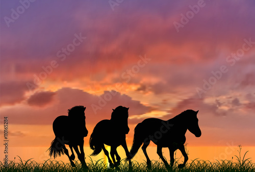  three running horses on sunset background