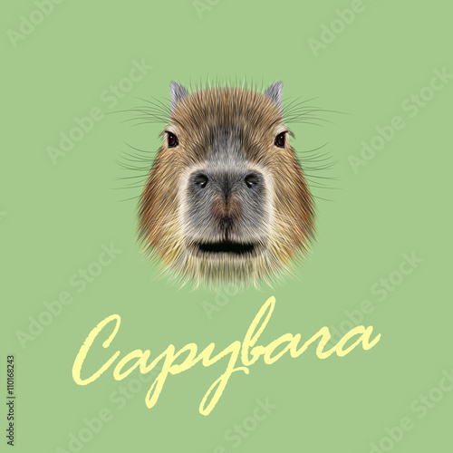 Vector Illustrated Portrait of Capybara. Cute face of wild Capybara on green background.