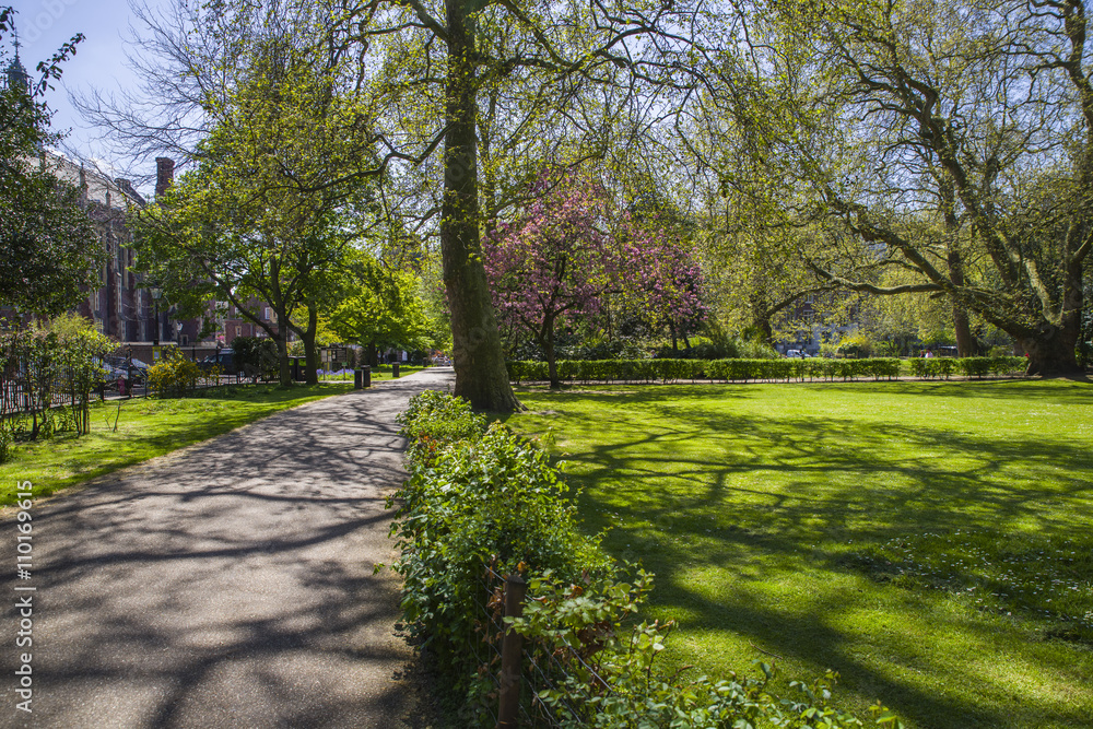 Fototapeta premium Lincoln's Inn Fields