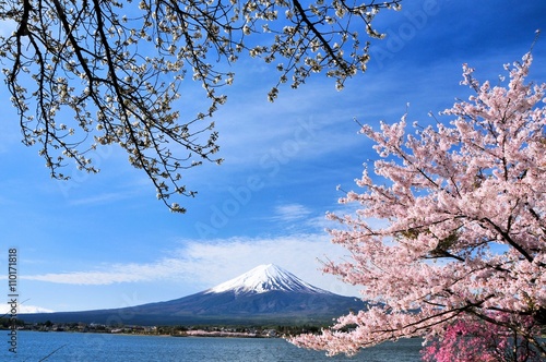 富士山と桜 © Goryu