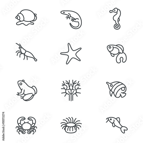 The most popular aquarium inhabitants as line icons / There are typical aquarium inhabitants like snail, fishes, crabs and corals
