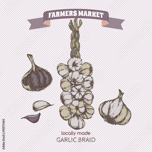 Color vintage garlic braid template.