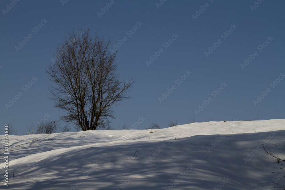 Obraz premium Schneelandschaft