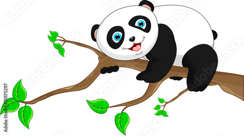 Fototapeta Naklejka Na Ścianę i Meble -  Cute funny baby panda