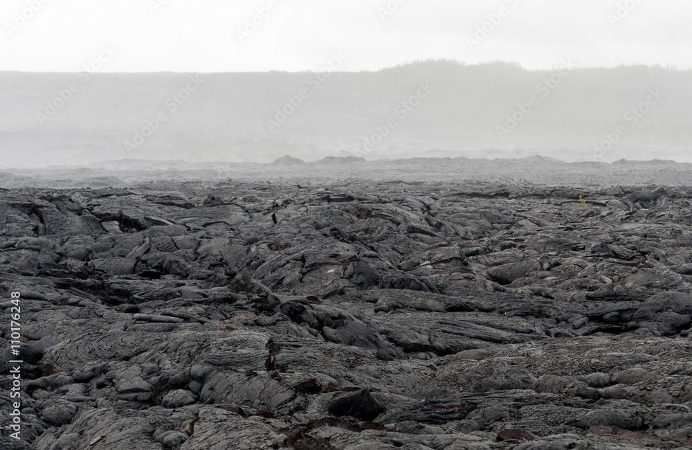 Fotobehang met Lavaveld op Big Island Hawaï #110176248