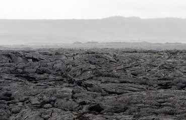 Fotobehang Vulkaan Lavaveld op Big Island Hawaï  © jomo333