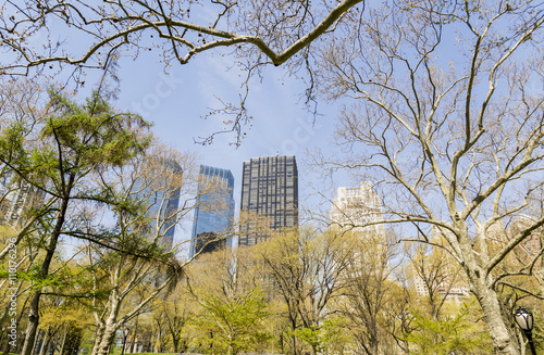 Park in New York City