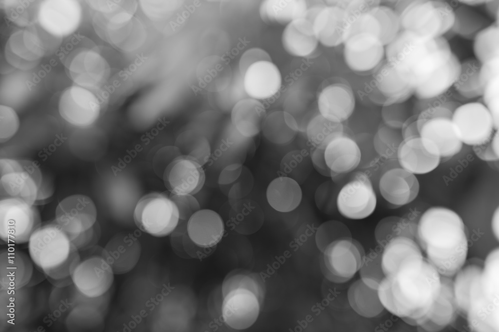 abstract blurred nature background black and white