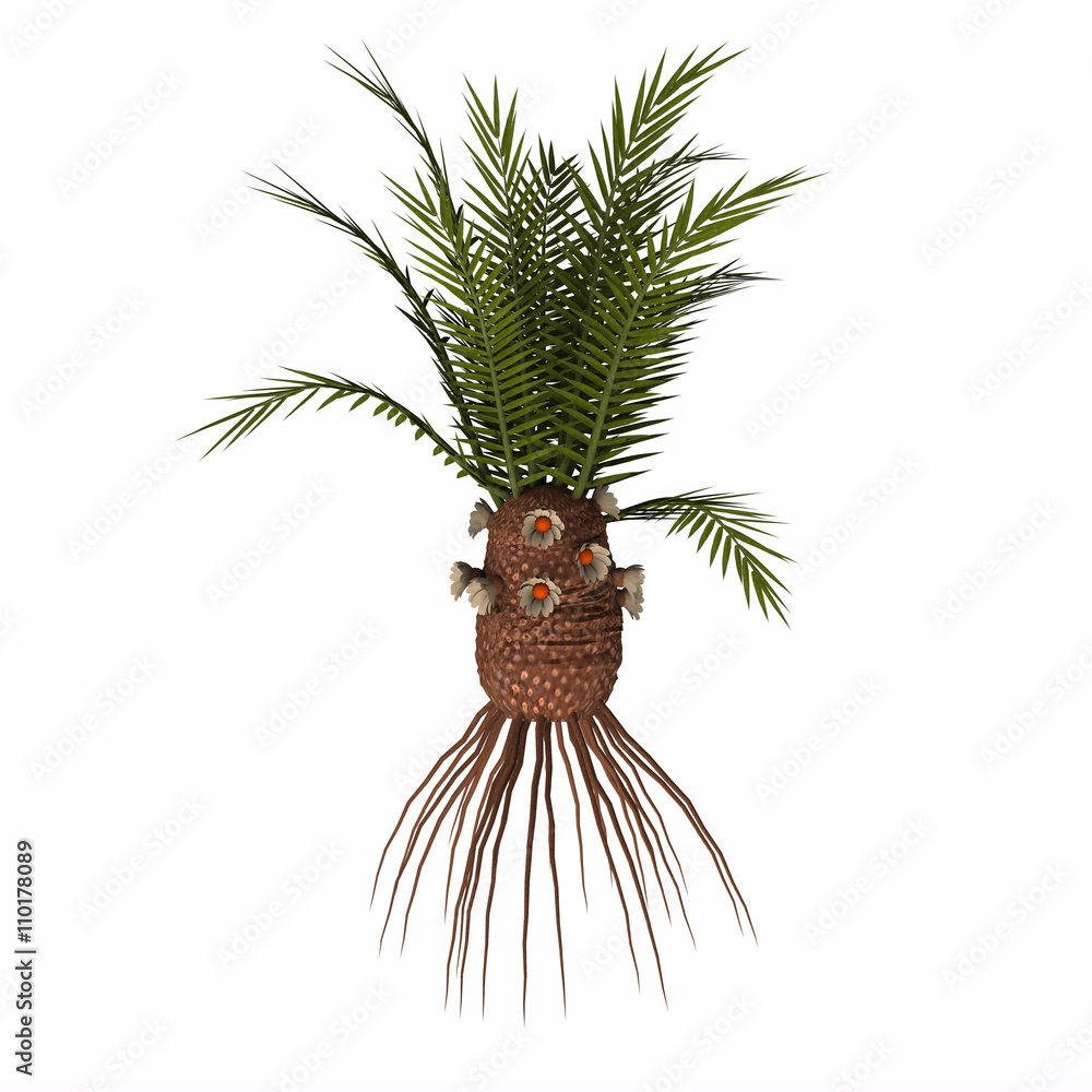 Obraz premium Cycadeoidea gigantea Plant - Cycadales, but mostly Cycadeoideae were so abundant during the Jurassic period that Jurassic is often called the “Cycads age”.