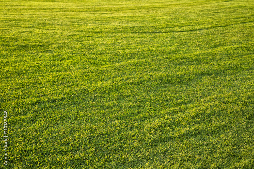 Sunny soccer grass field background. Sunny soccer grass field background.