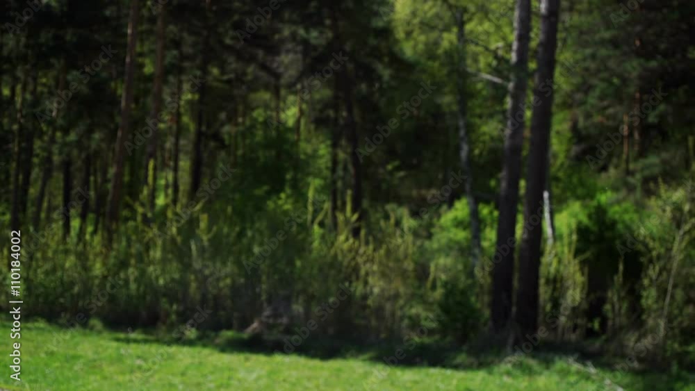 Beautiful young woman runner athlete insert her earphones during training Beautiful young woman runner athlete insert her earphones during training