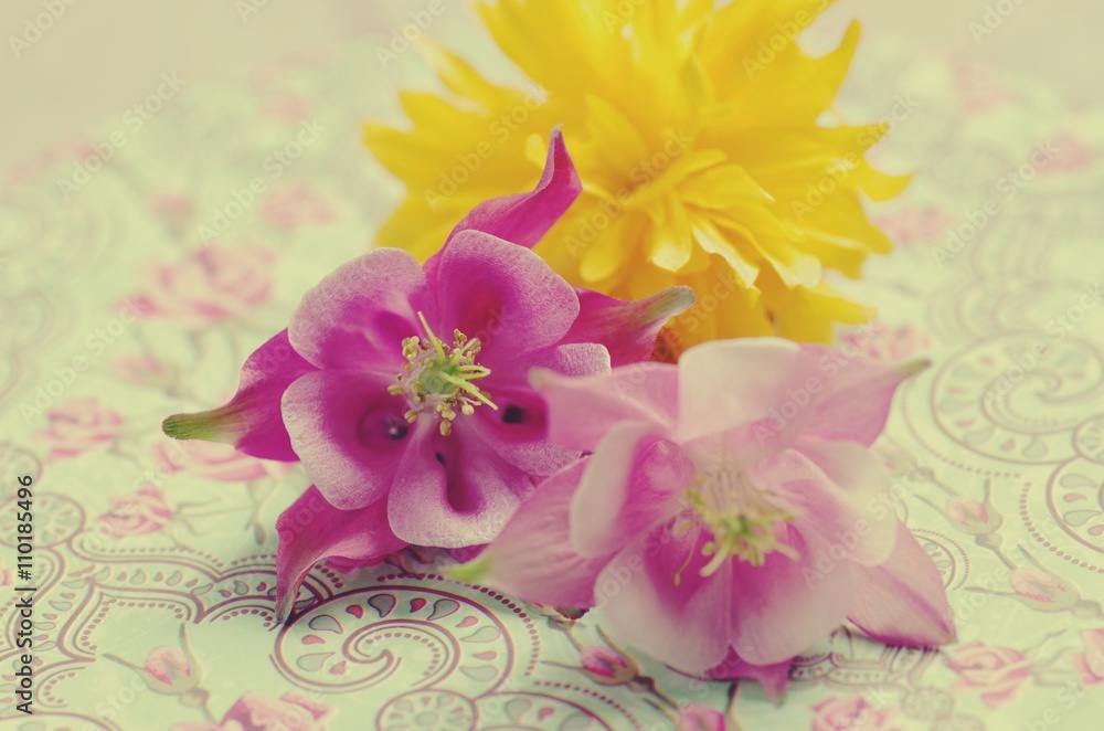 Romantische Grußkarte mit zarten Blüten